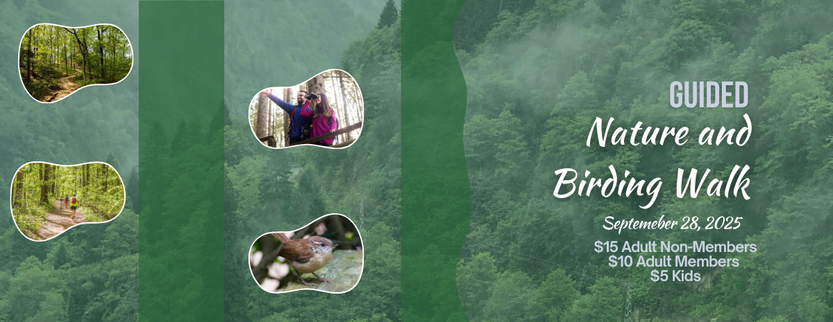 Nature and Birding Walk 2025